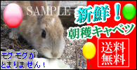 バナー、デザイン承ります